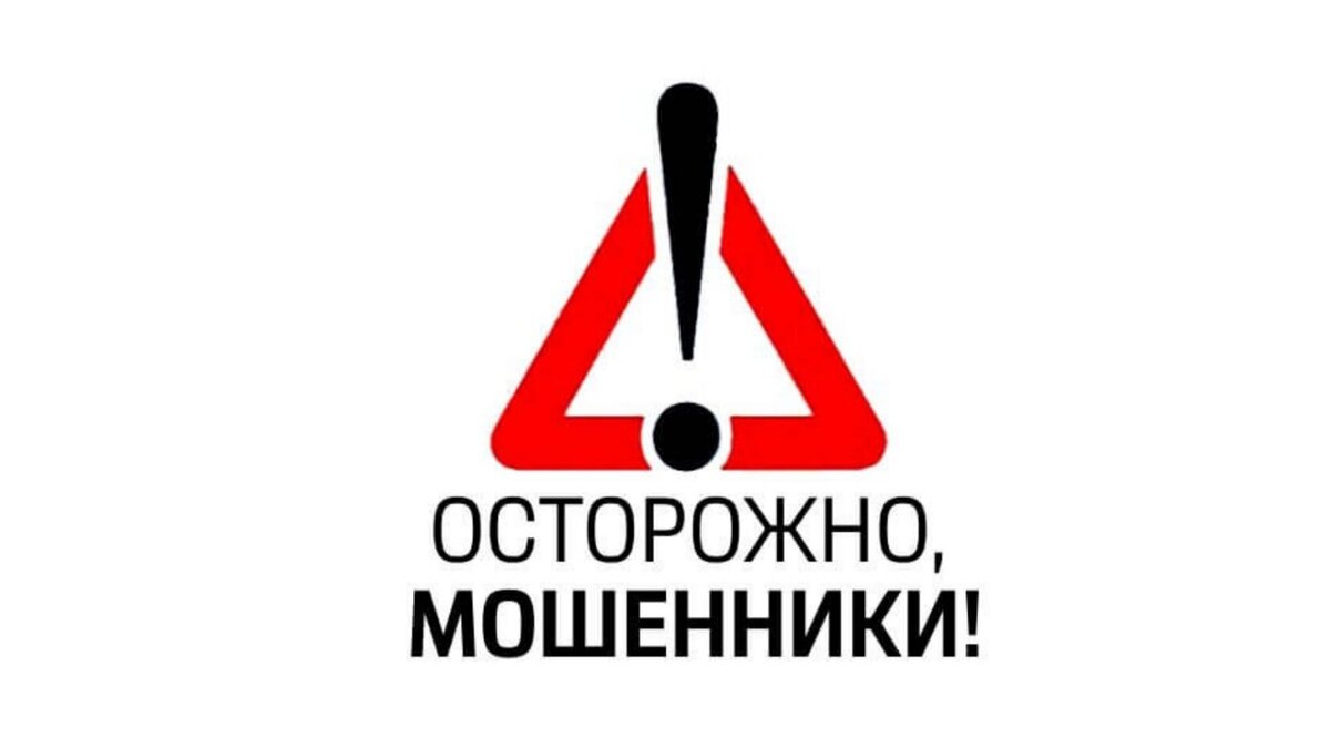 На что обратить внимание, при выборе компании по привозу автомобилей? |  autostyle27 | Дзен