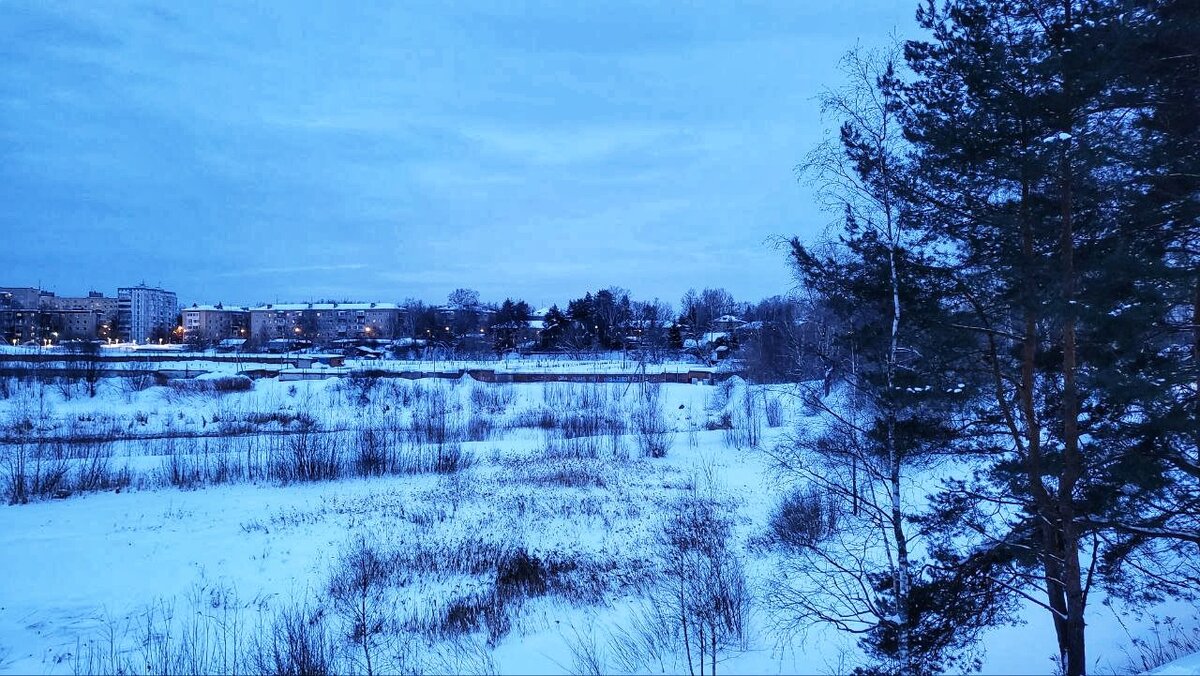 Вид на город от калитки музея