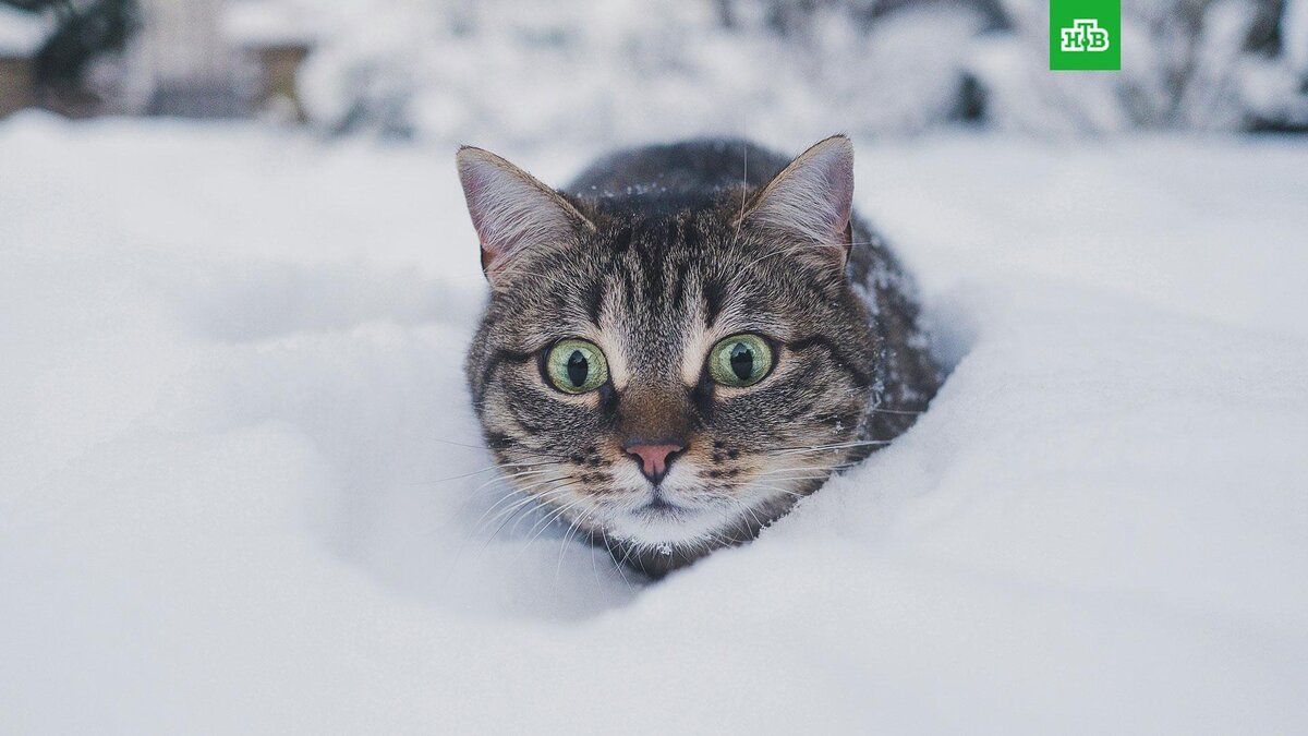    Фото: sakasa / unsplash.com