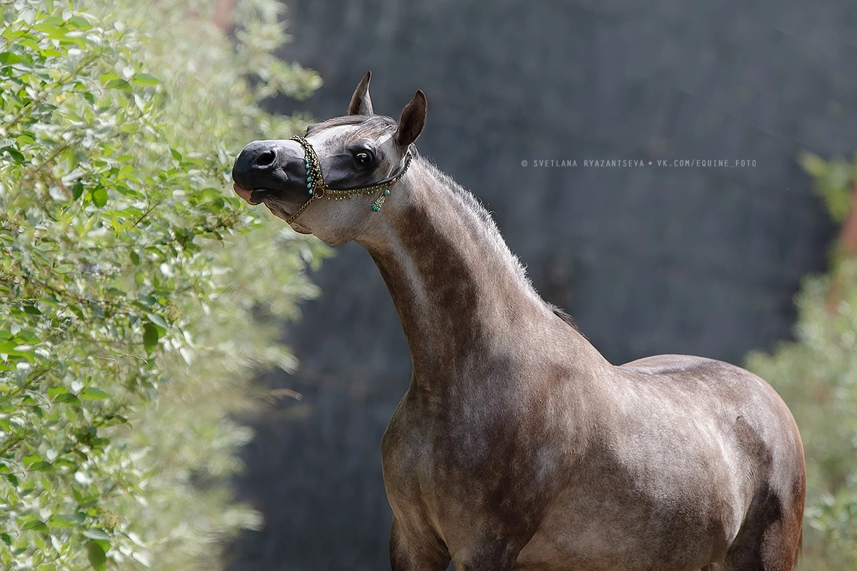 Эсперанза 🥰