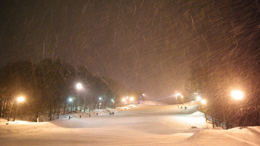 Яндекс Картинки.