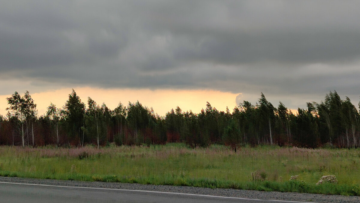 Маковое поле в беларуси. Природа поле. Амитав гош маковое поле. Малое ольжево маковое поле. Поле лида.