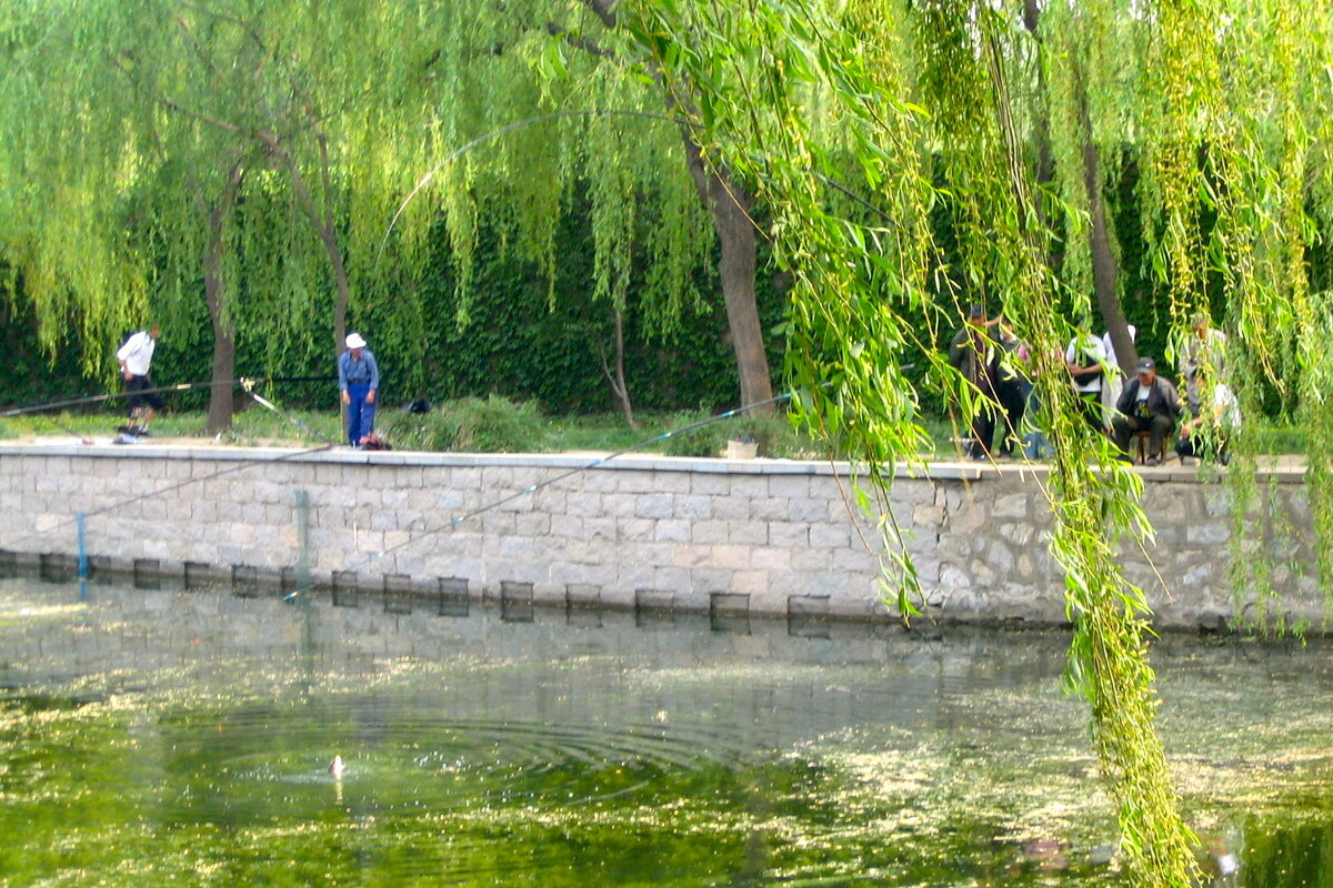 Привет, народ! Наткнулся на очень интересный канал (к сожалению - полумертвый (4 подписчика)) о рыбалке в Пекине. Китайский, естественно. В Пекине я был пять раз и, даже, ловил рыбу (немножко поймал).