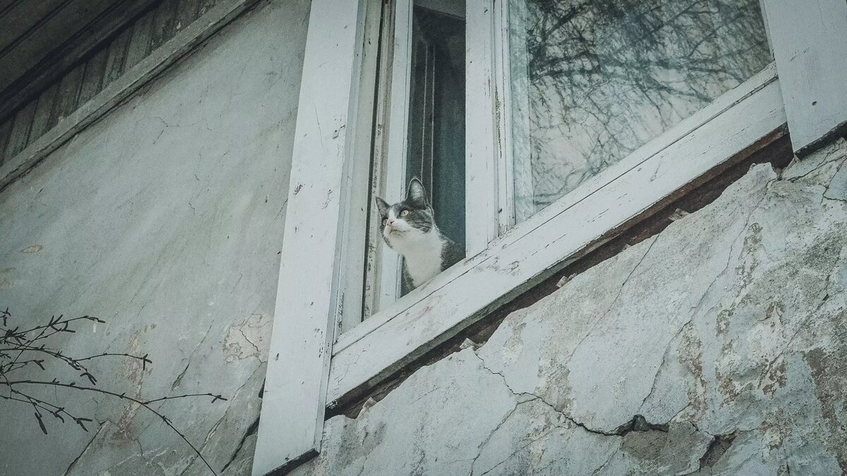     Жильцы девятиэтажки, построенной меньше 10 лет назад, связывают возникшие проблемы с развернувшейся неподалеку стройкой нового ЖК «Мирапорт».