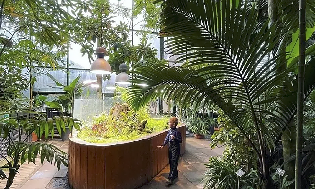 В оранжерее вы сможете посмотреть на орхидеи, пальмы, шоколадные деревья и хищные растения