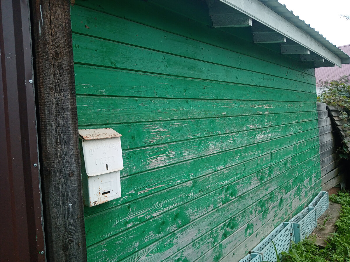 По прогнозу ожидался дождь. Надо было спешить.