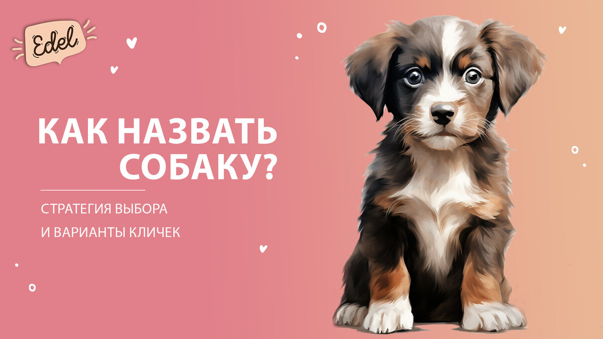 Как назвать щенка