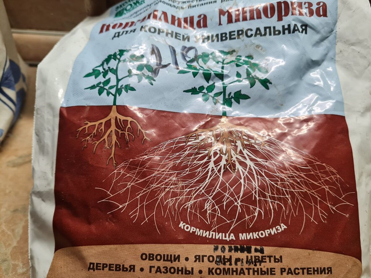 Фитоспорин и микориза друзья? | Огород и не только в Югре | Дзен