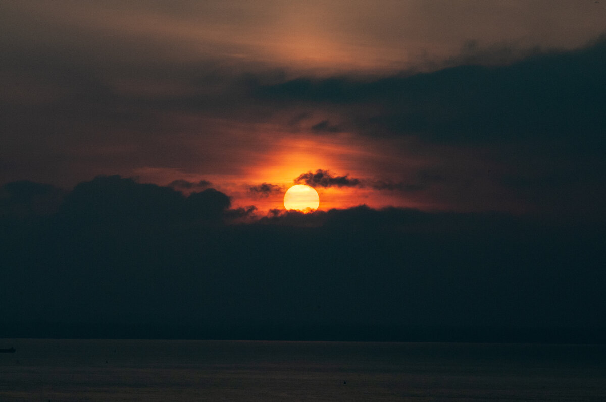 Svetlana Vozmilova/Global Look Press