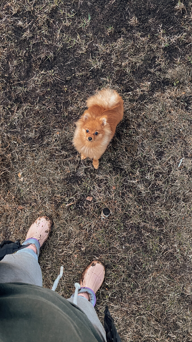 Наша малышка Асти