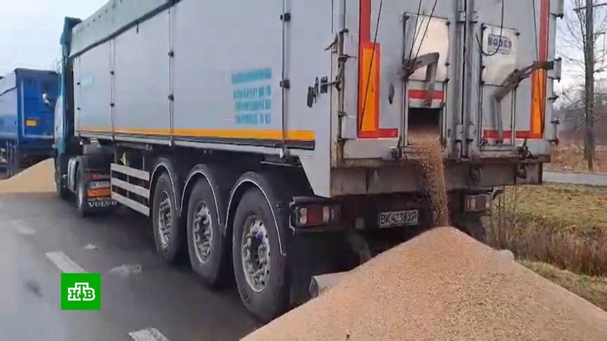    Фермеры в Польше начали вскрывать грузовики с украинским зерном