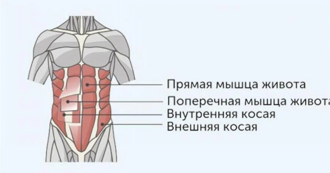 Упражнения для правильного расположения брюшных органов