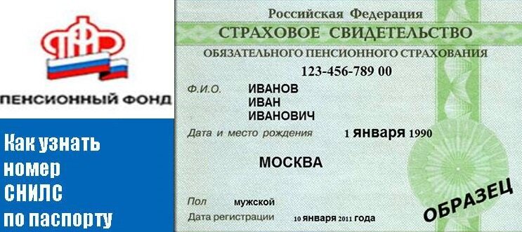 Как узнать номер снилс по паспорту физического лица онлайн, через госуслуги, через пенсионный фонд.