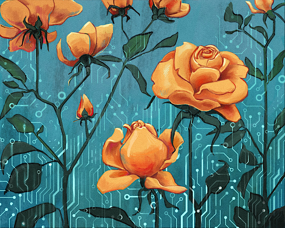 Изображение из открытых источников