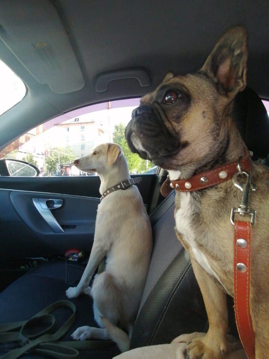 физкультминутка в стихах. шутка минутка а делу час 1 класс. прописи 1 класс 4 часть. физкультминуткалар. детские физкультминутки для дошкольников.