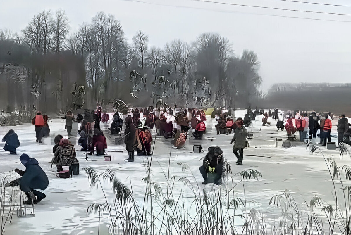 Клев отменный!» – Под Гродно рассекретили «очень рыбное место». Но есть  опасность — Видео | Telegraf - Новости | Дзен