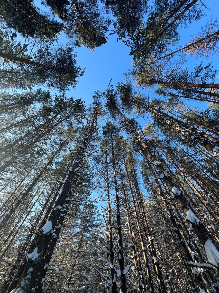 Источник: Личный архив. Под Рязанью🥰
