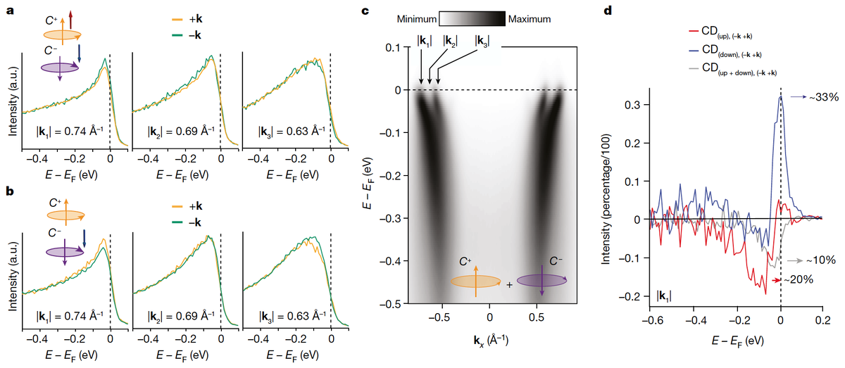   Federico Mazzola et al. / Nature, 2024