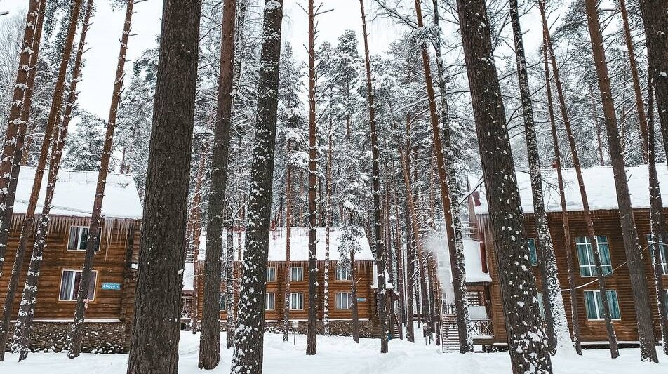 Деревянные коттеджи