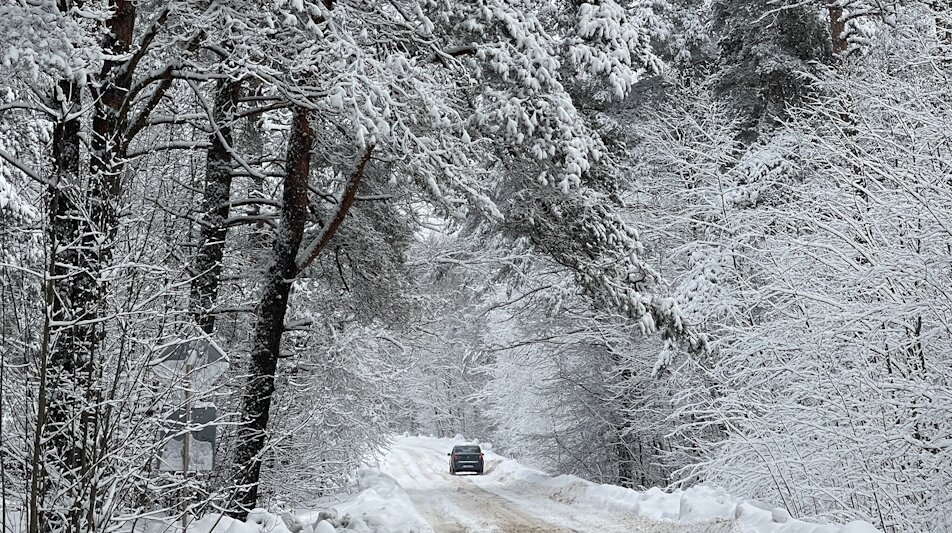 Природа МДЦ "КОМПЬЮТЕРиЯ"