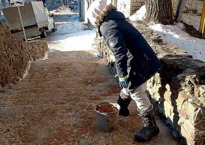    Фото пресс-службы мэрии Воронежа.