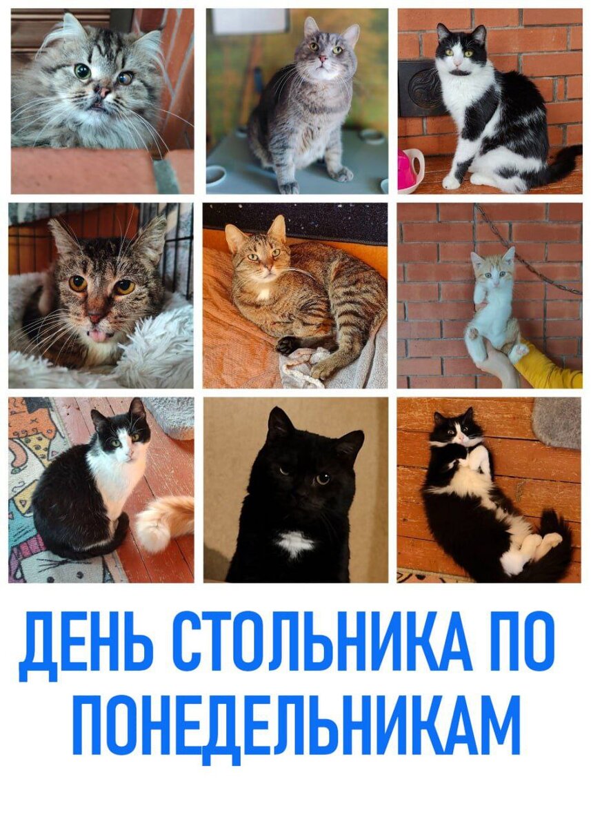 От меня меня такую. Стих про я. Меня не любят. Ты ее любишь. По люби меня.