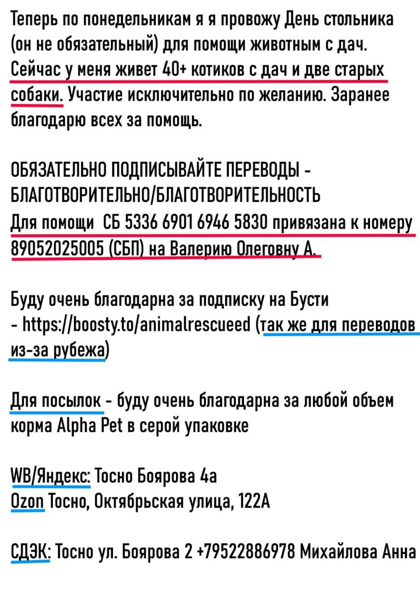 Теперь по понедельникам я я провожу День стольника. Дома 40+ котиков с дач  и две собаки. Очень нужна помощь! | Animalrescueed | Дзен