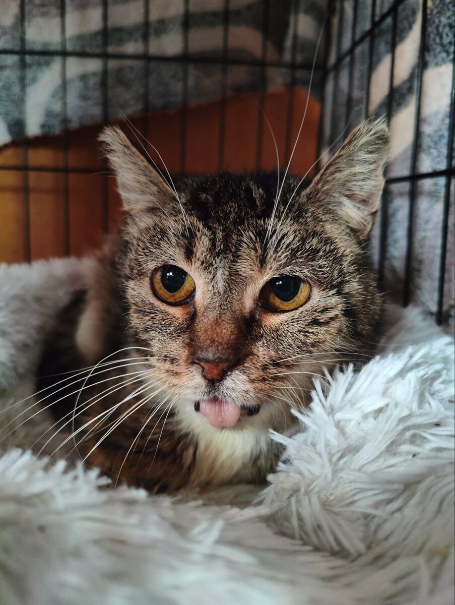 препятствия в жизни. заклинание на исполнение желания. сильные молитвы на исполнение желания. реализация желаний на бумаге. помощь желание.