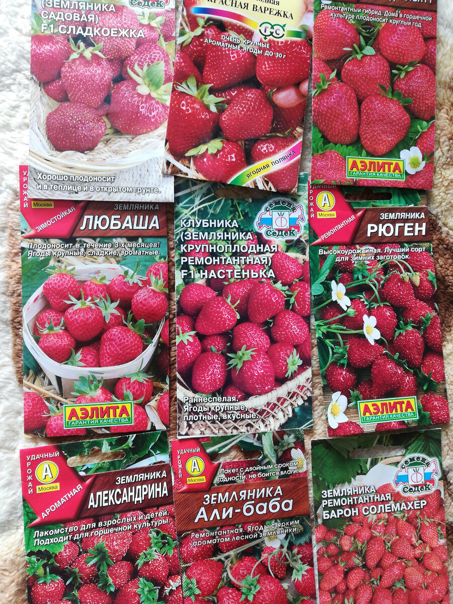 Земляничка