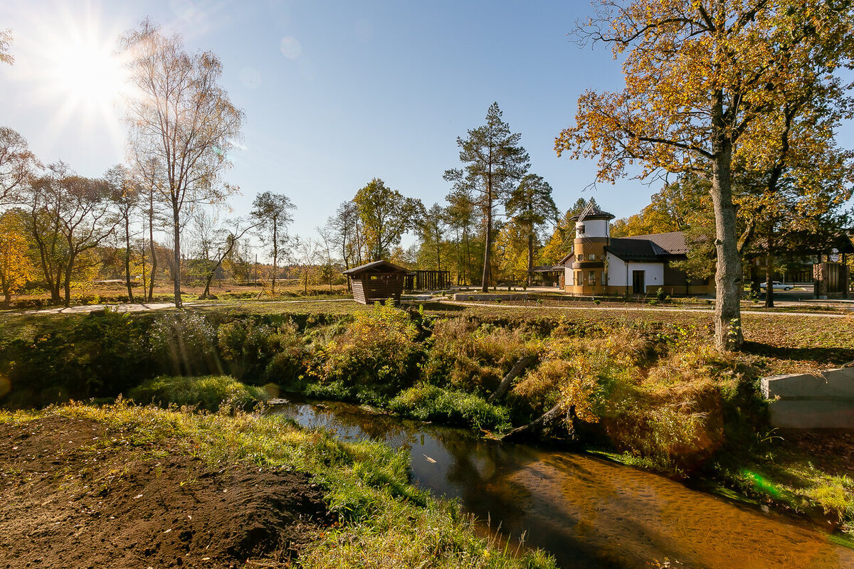 Все про парк-отель Millwood 4* в Брянской области: отзывы, плюсы и минусы |  Отели России | Дзен