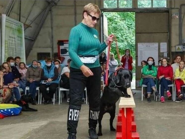 джек рассел собака. собака 8. дог белый с черными пятнами. фрося собачка. собака 8.