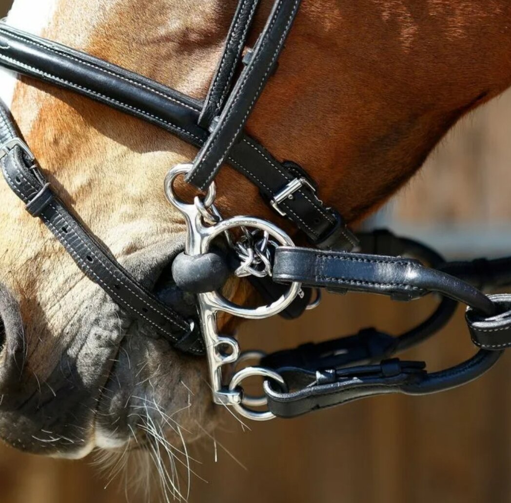 Ремни удила и поводья. Вестерн пад. Уздечка ремешка. Конный спорт уздечки. Уздечка ремешка.