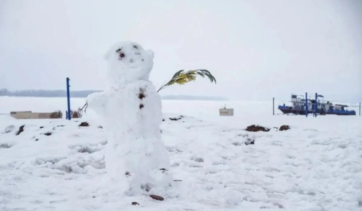 Снеговик. Источник: samara.kp.ru Автор фото: Светлана Маковеева