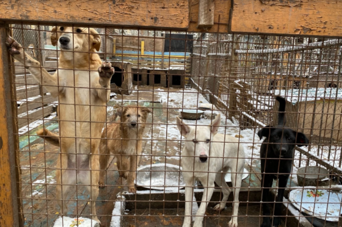 Для иллюстрации