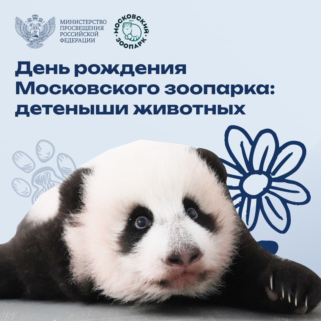 мотивационные картинки с цитатами. мысли о спокойствии. каждый ищет свое место. хорошие цитаты. каждый ищет свое место.