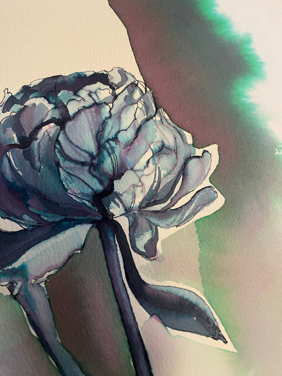 Этюд пиона, написанный с натуры, фрагмент