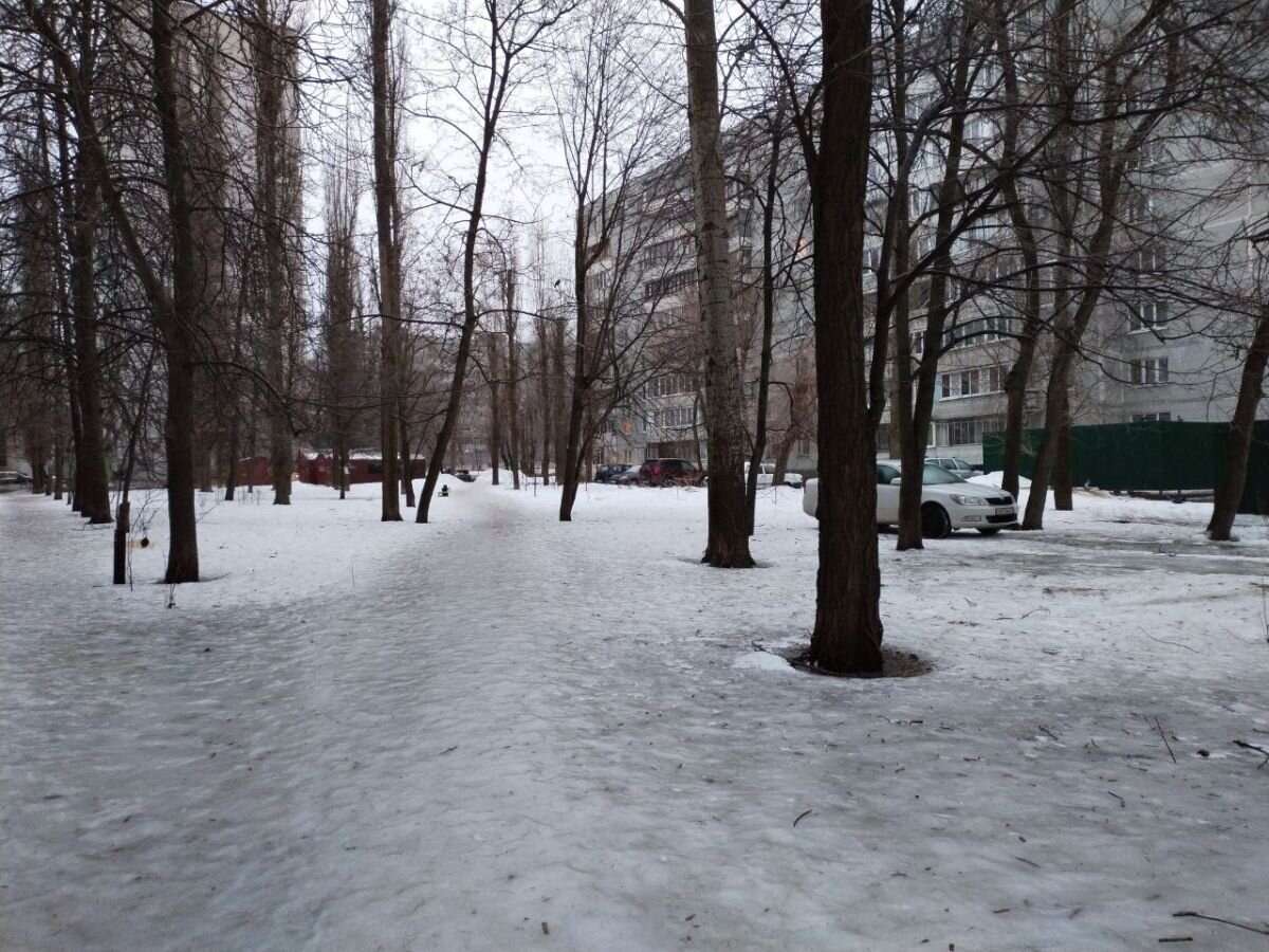 Родителям воронежских школьников напомнили о праве оставить ребенка дома на  время сильного гололеда | «Воронежские новости» | Дзен