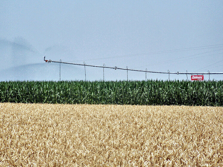 Экспорт продукции в мире