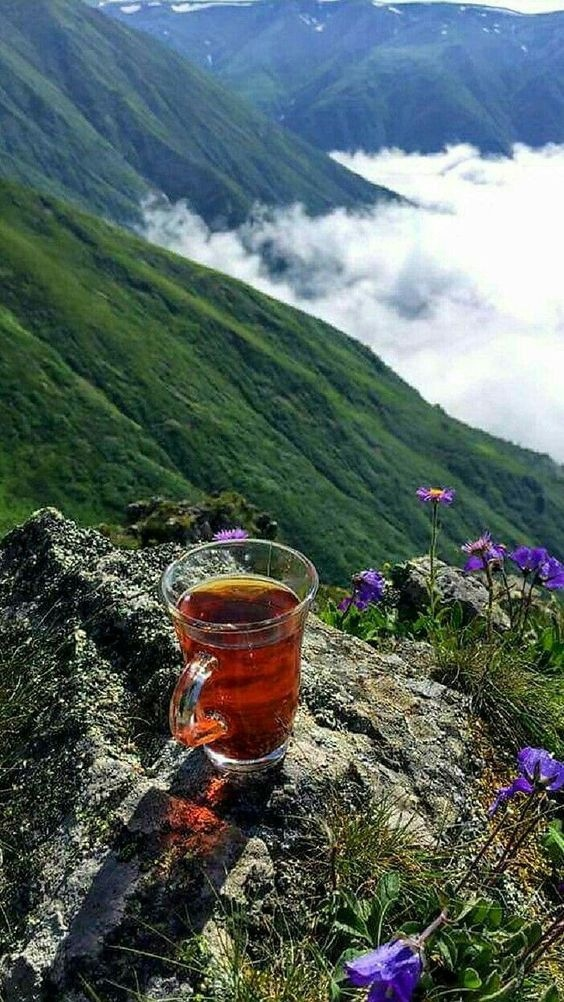 взято с пинтерест