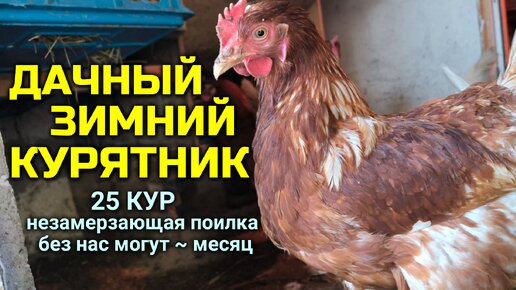 Зимний курятник: чертежи, пошаговая инструкция, видео- и фотообзор