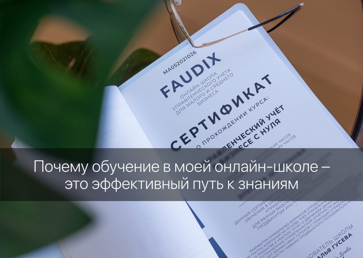 Faudix | Управленческий учет