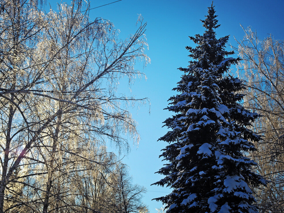 Прогулка в дождь. Девушка под дождем. Человек под дождем. Дождь. Дождь прогулки.