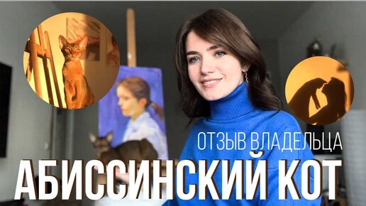 АБИССИНСКИЙ КОТ. Отзыв владельца.