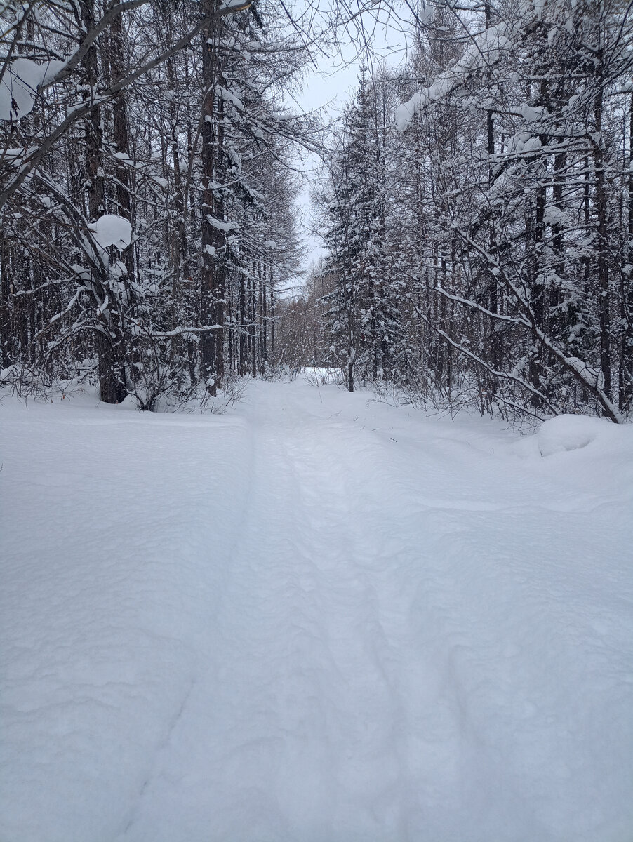 Дорога на дачу