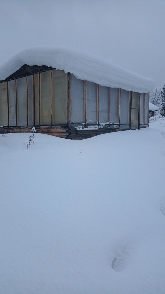 Моя теплица.