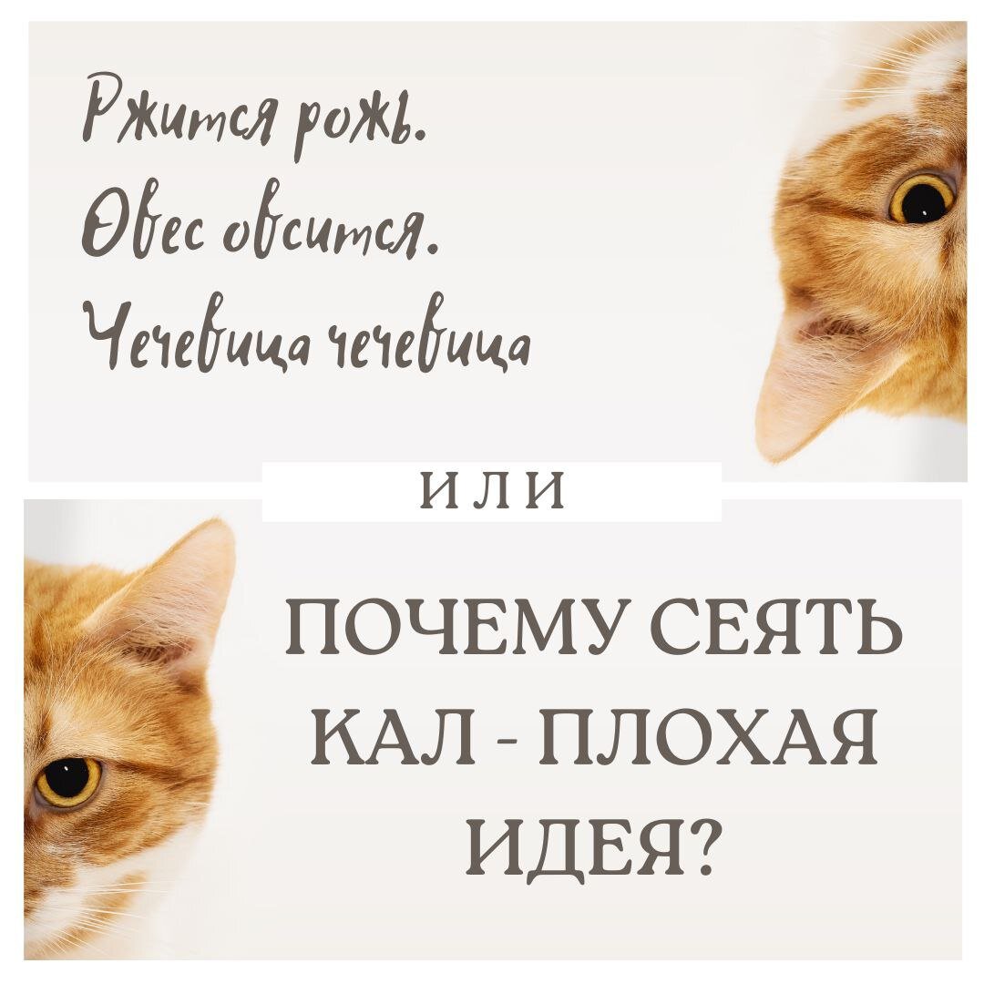 Что мы сеем, что мы жнем?
