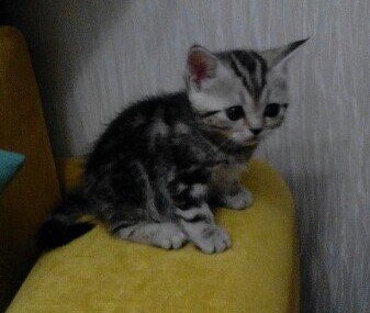 17 декабря 2016 года