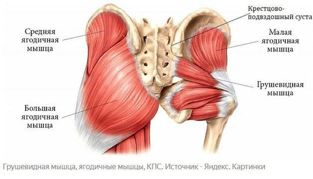 Синдром грушевидной мышцы