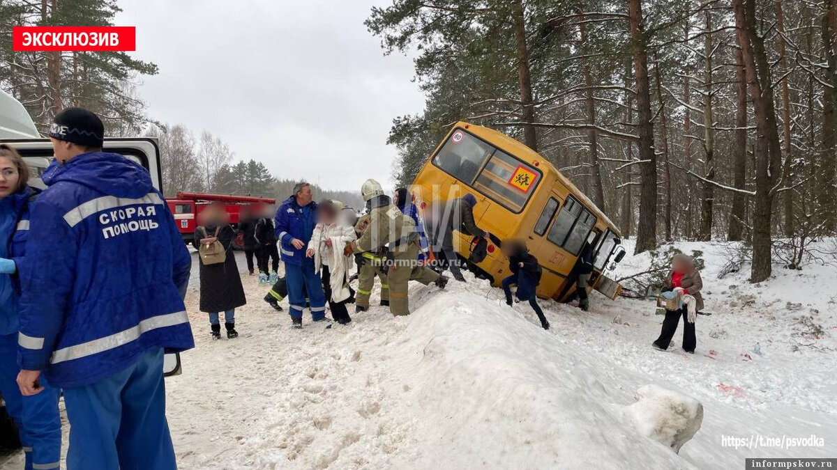 Школьный автобус столкнулся с фурой в Пушкиногорском районе