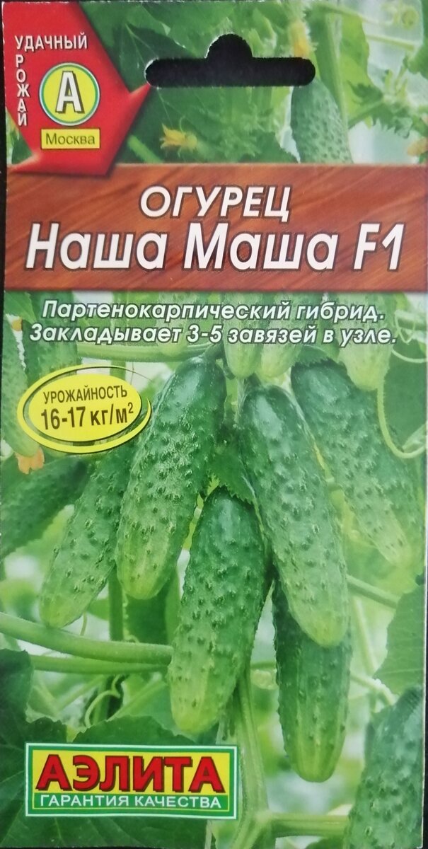 огурцы гибриды самоопыляемые. огурцы гладкие сорта. кураж. высокоурожайные сорта огурцов для открытого грунта. огурцы урожайные сорта для открытого грунта.